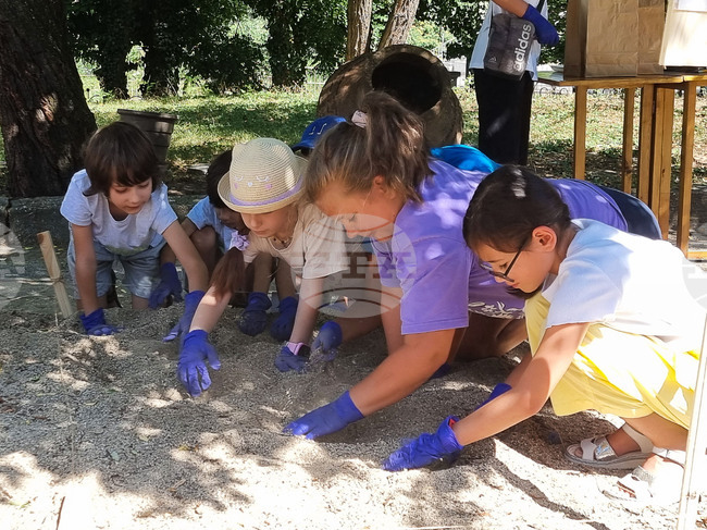 Кърджали - „Лято в музея" - инициатива 