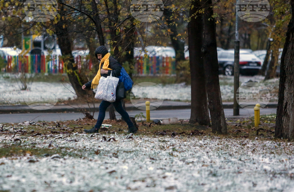 Прогноза за времето
