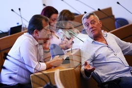 Столичен общински съвет - Комисия по култура