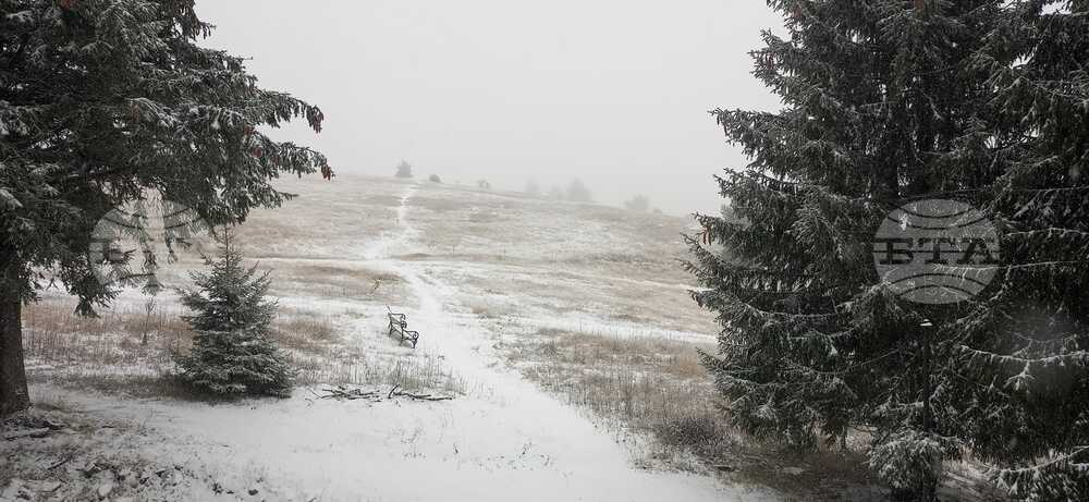 Weather Forecast: Nov. 29