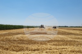 Генерал Тошево - жътва