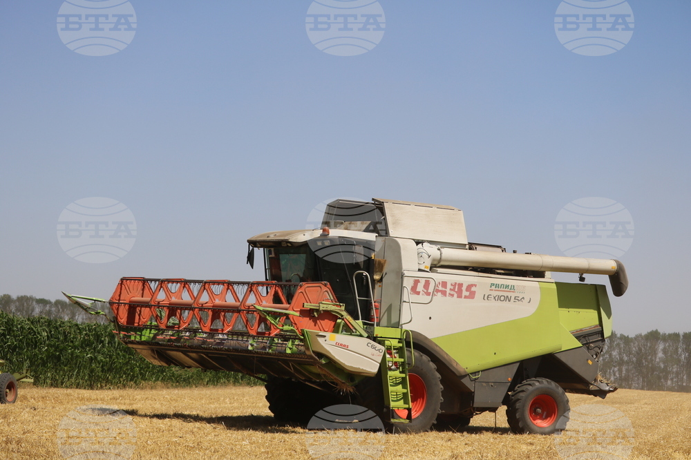 Генерал Тошево - жътва