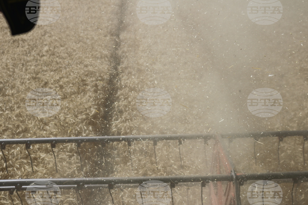 Генерал Тошево - жътва