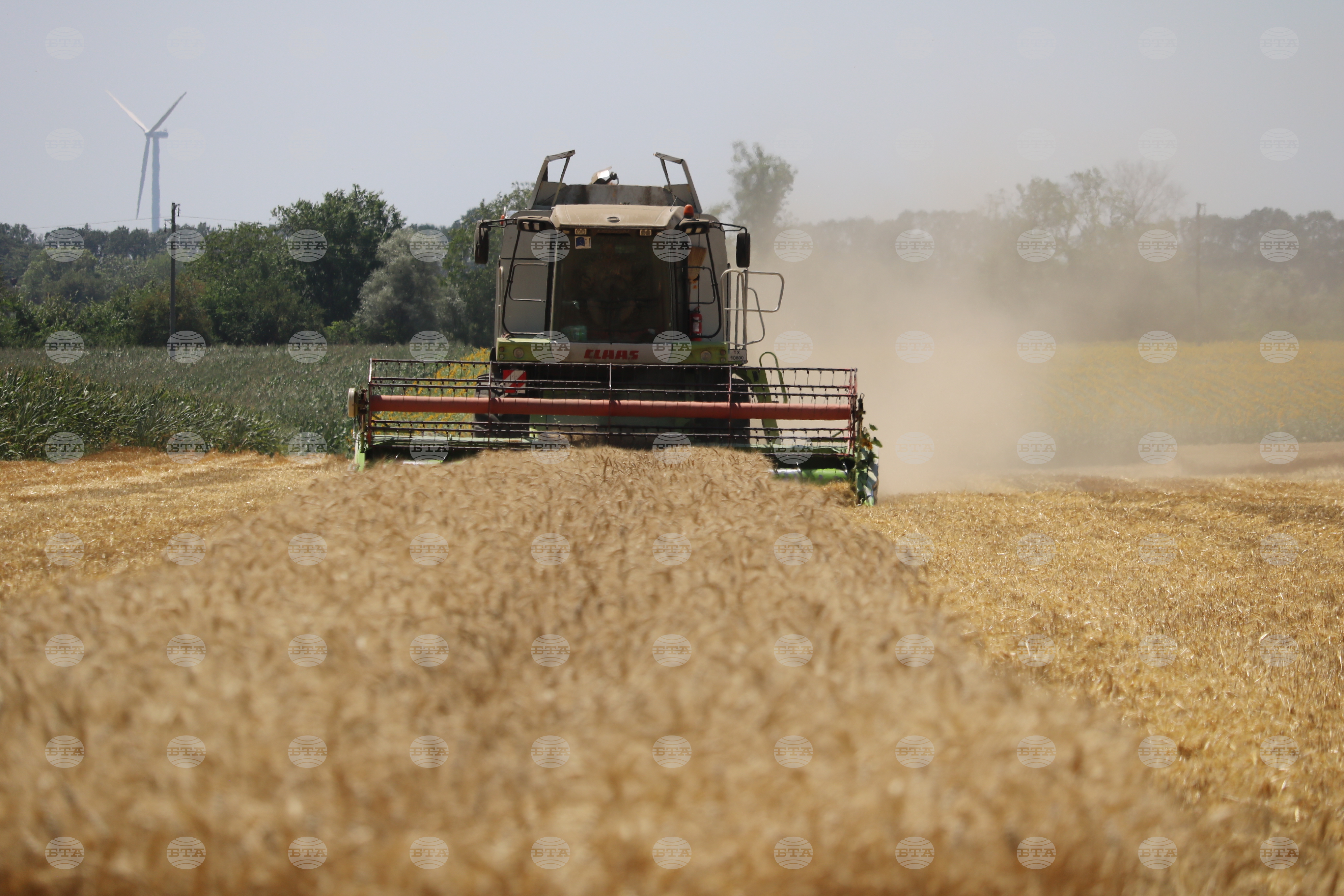 Жътвата на пшеницата в Добричка област е приключила за една трета от площите при среден добив 681 килограма от декар
