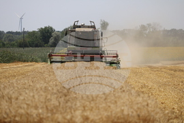 Генерал Тошево - жътва