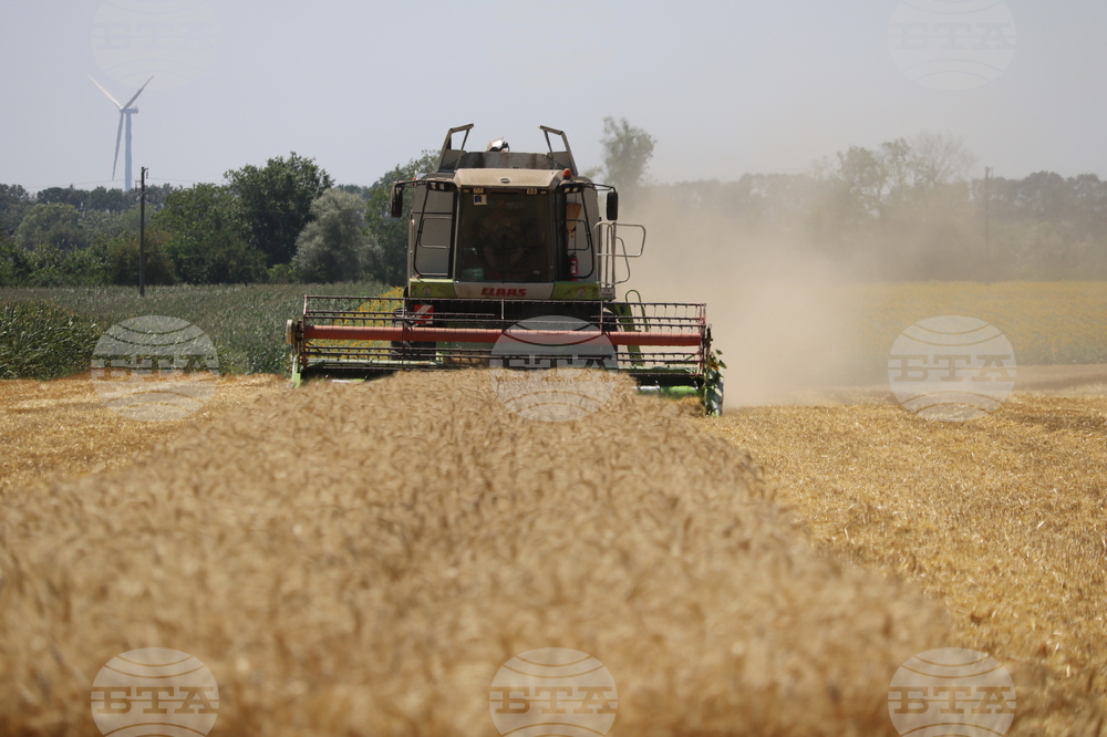 Генерал Тошево - жътва