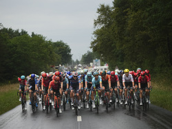 Cycling Tour de France