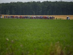 Cycling Tour de France