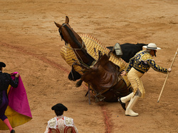 Spain Running of the Bulls