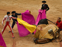 Spain Running of the Bulls
