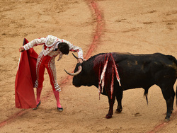 Spain Running of the Bulls