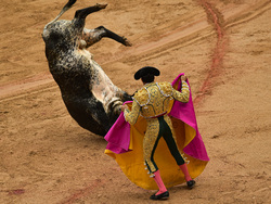 Spain Running of the Bulls