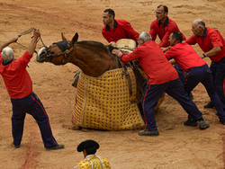 Spain Running of the Bulls