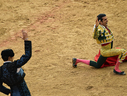 Spain Running of the Bulls