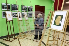 Сатиричен театър - шарж - изложба