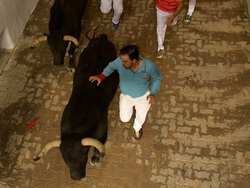 Spain Running of the Bulls