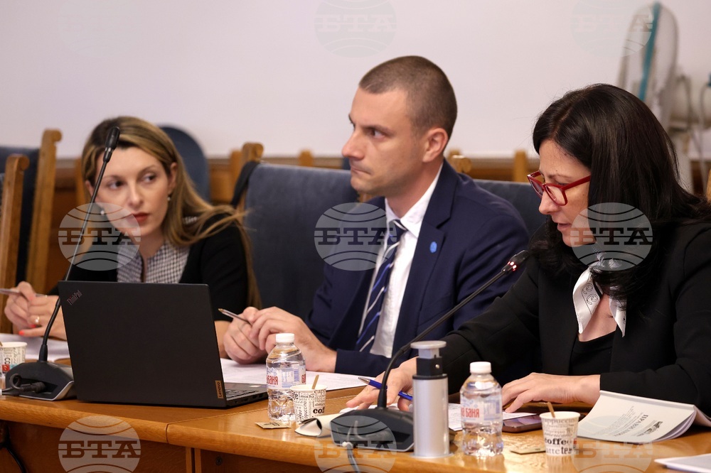 Парламент - Временна комисия за изработване на проект на Правилник за организацията и дейността на Народното събрание - заседание