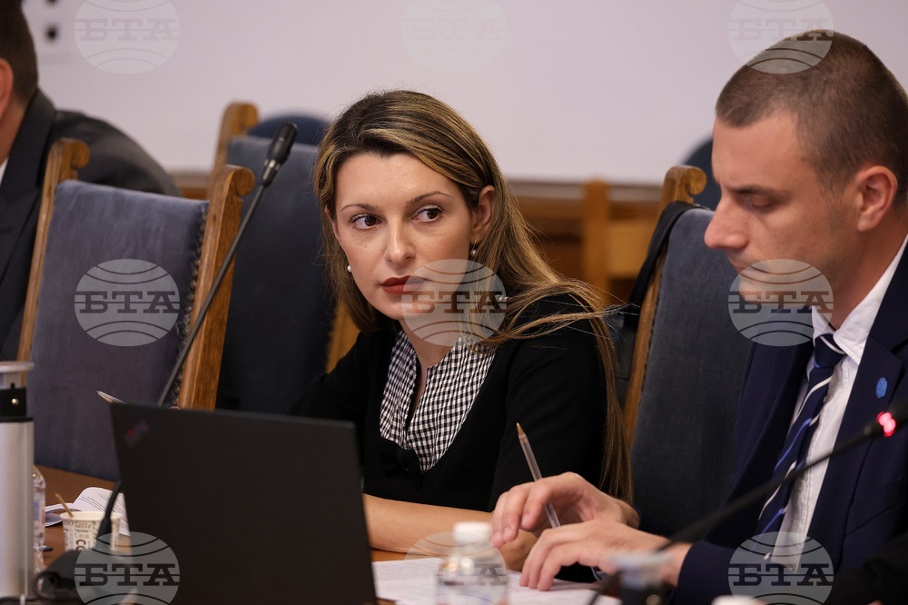 Парламент - Временна комисия за изработване на проект на Правилник за организацията и дейността на Народното събрание - заседание