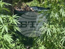 Снимка: МВР