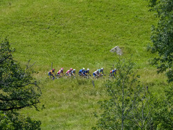 Cycling Tour de France