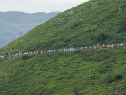 Cycling Tour de France