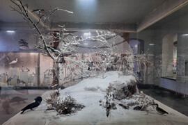 Плевен - музей - отдел „Природа"