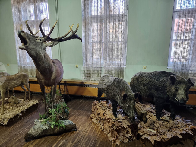 Плевен - музей - отдел „Природа"