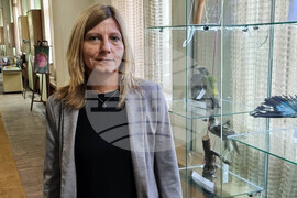 Плевен - музей - отдел „Природа"