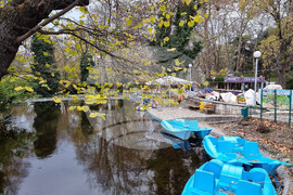 Варна - есен