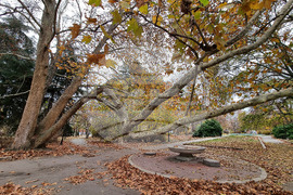 Варна - есен