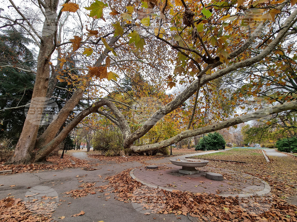 September Weather Forecast: Lowest Temperatures at 7-12C, Highest at 30-35C