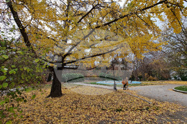 Варна - есен