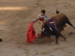 Spain Running of the Bulls