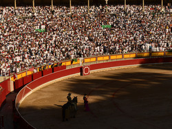 Spain Running of the Bulls