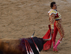 Spain Running of the Bulls