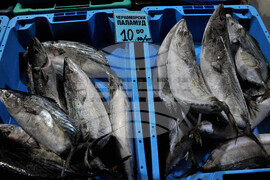 Бургас - рибен пазар