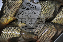 Бургас - рибен пазар