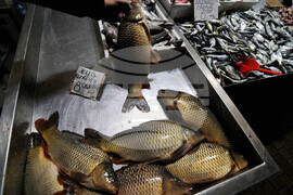 Бургас - рибен пазар