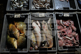 Бургас - рибен пазар