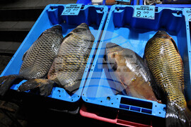 Бургас - рибен пазар