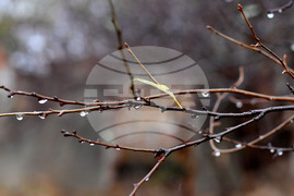 Село Лудогорци - дъждовно време