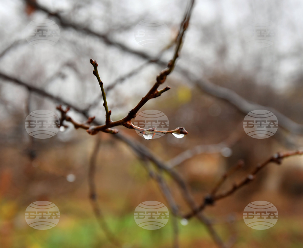 Прогноза за времето 