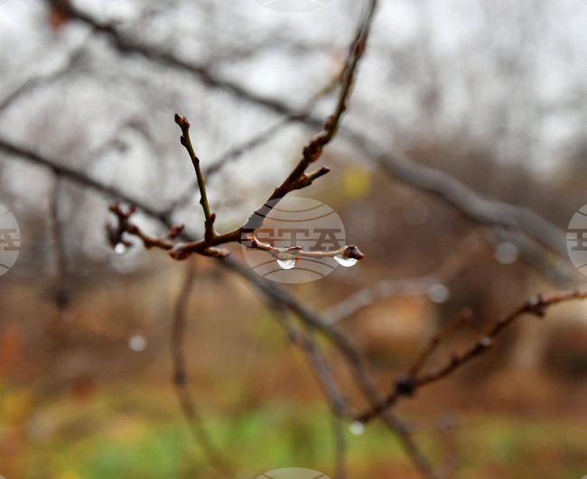 Прогноза за времето 