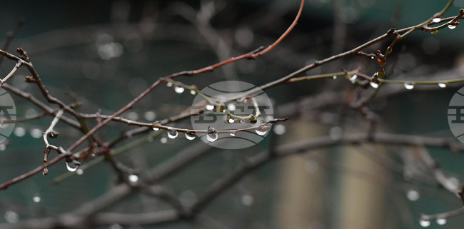 Село Лудогорци - дъждовно време