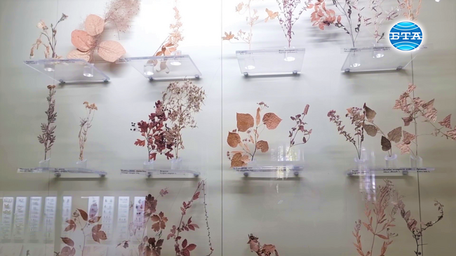 Отдел "Природа" на Регионалния исторически музей в Плевен отбелязва 55 години от създаването си