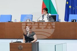 Парламент - заседание - Венеция Нецова-Ангова