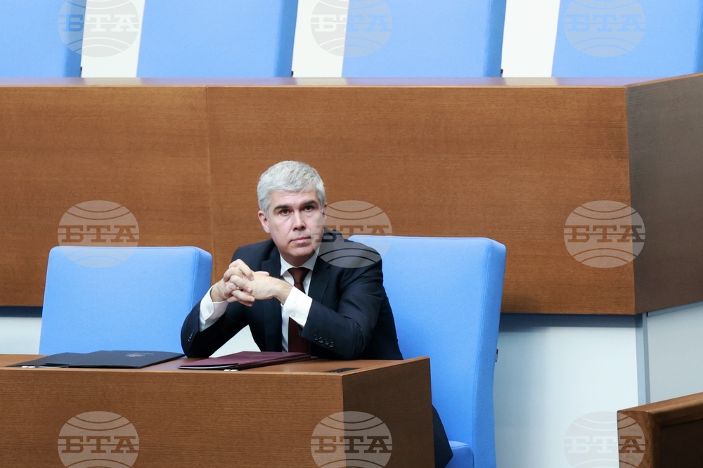 Парламент - заседание - Владимир Малинов