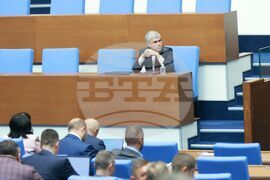 Парламент - заседание - Владимир Малинов
