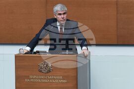 Парламент - заседание - Владимир Малинов