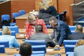 Парламент - заседание